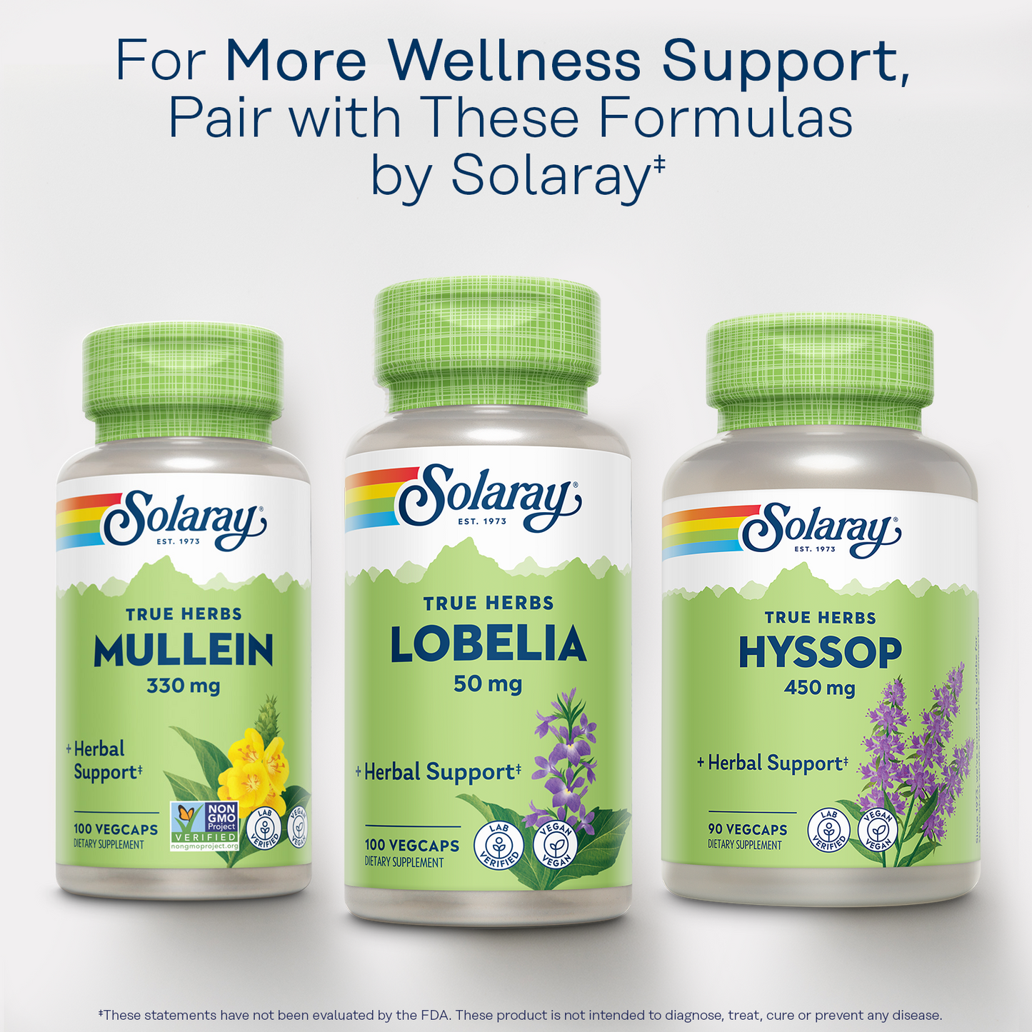 Mullein Leaf 330mg