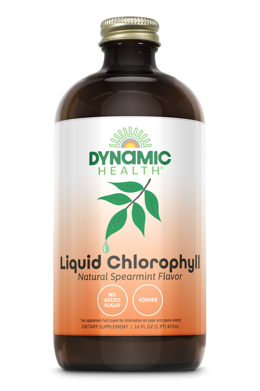 Liquid Chlorophyll Spearmint Flavored