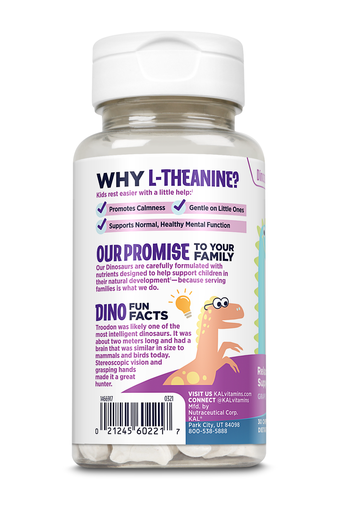 Relax-a-Saurus™ Kids Chewables – The Healthway Store