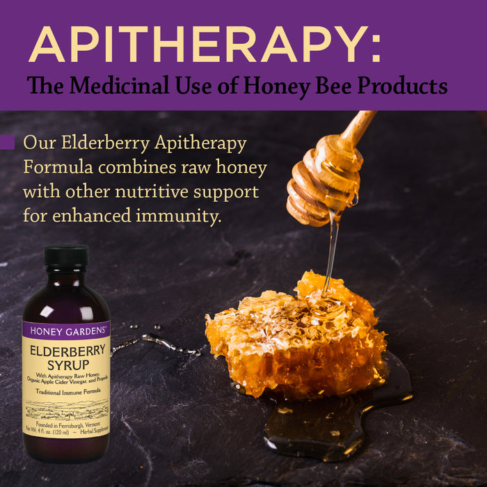 Honey Gardens Elderberry Syrup with Grade A Raw Honey, Propolis, Organic ACV & Elderberries | Traditional Immune Formula w/Echinacea  | Made in the USA