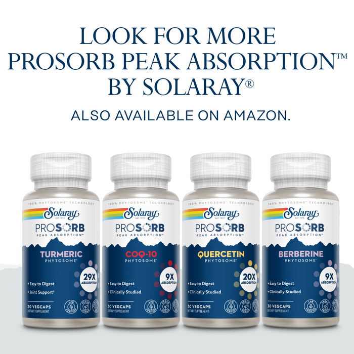 Solaray Turmeric Phytosome 500 mg - 29X Absorption Curcumin Supplements - Easy-to-Digest Turmeric Capsule for Joint Support - Vegan and Made Without Soy - 60-Day Guarantee - 30 Servings, 30 VegCaps