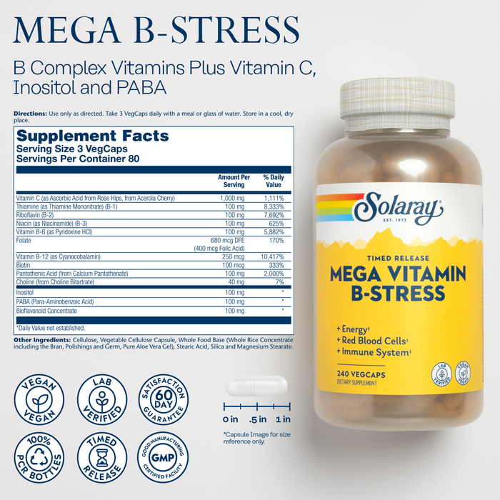 SOLARAY Mega Vitamin B-Stress - Timed Release Vitamin B Complex w/ Vitamin B12, B6, Folic Acid, Vit. C - Stress, Energy, Red Blood Cell, Immune Support - Vegan, 60-Day Guarantee ( 80 Serv, 240 VegCaps)