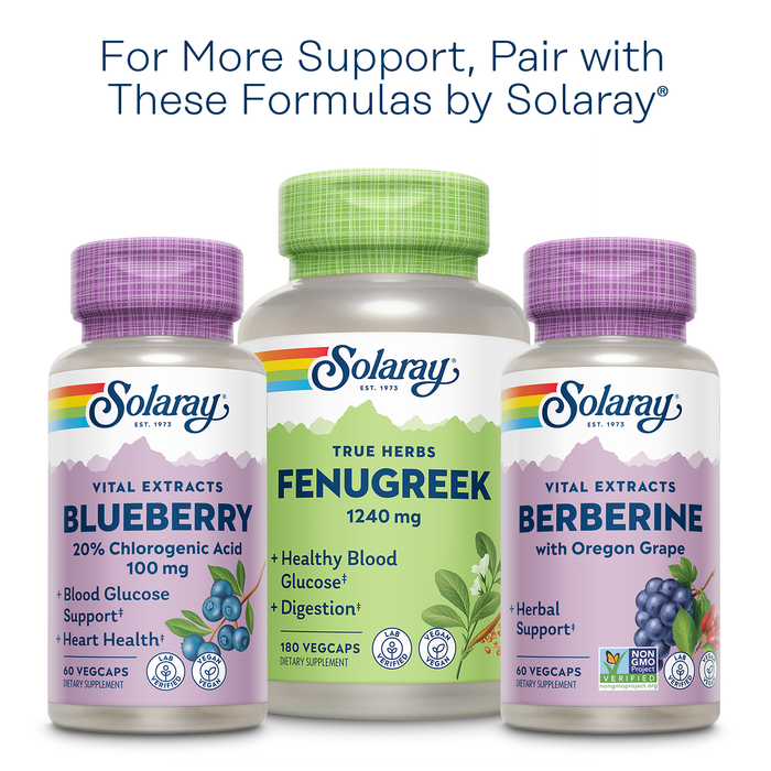 Solaray Blood Glucose Success Formula 90 ct