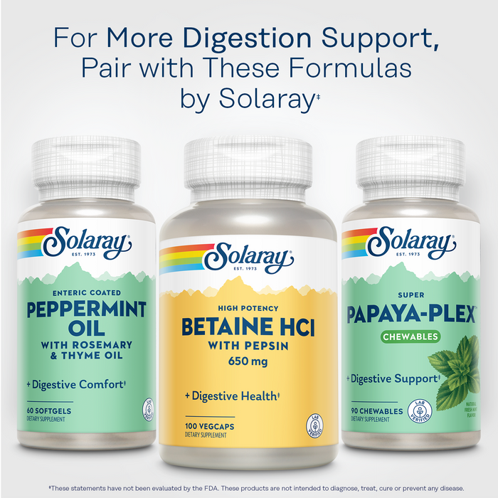 Solaray High Potency Betaine HCL with Pepsin - Hydrochloric Acid Supplement for Digestive Health - with Betaine Hydrochloride and Digestive Enzymes - Gut Health Support - 60-Day Guarantee, 275 VegCaps (100 Servings, 100 Veg Caps)