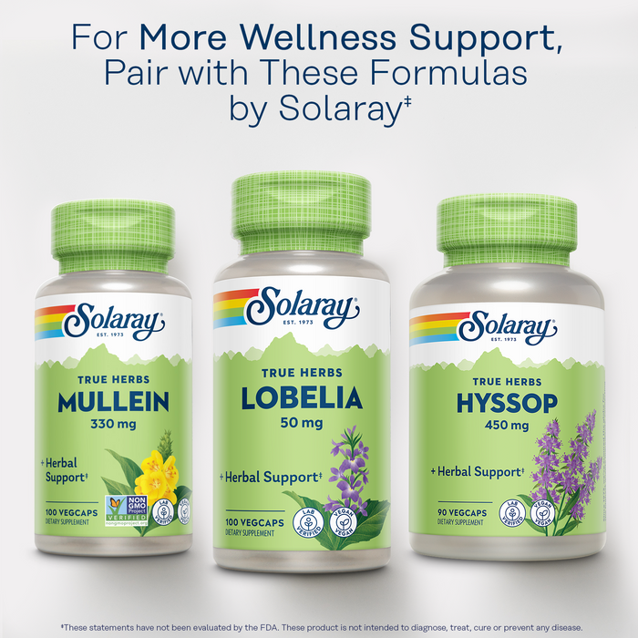 Solaray Mullein Leaf 330 mg - Soothing Herbal Support - Mullein Capsules Traditionally Used to Support Health and Wellness - Vegan, Non-GMO, Lab Verified, 60-Day Guarantee, 100 Servings, 100 VegCaps