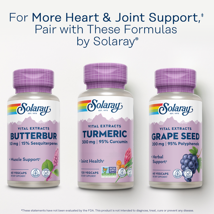 Solaray Turmeric 300 mg - Joint Support Supplement - Turmeric Root Extract with 95% Curcumin - Joint Health and Heart Health Support - Vegan, Lab Verified, 60-Day Guarantee (120 CT)