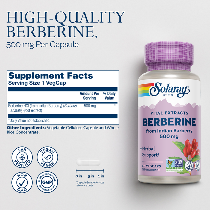 SOLARAY Berberine 500mg - Berberine Supplement for a Healthy, Active Lifestyle - With Berberine HCl from Indian Barberry - Vegan, Non-GMO, 60-Day Guarantee - 60 Servings, 60 VegCaps