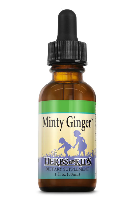 Minty Ginger
