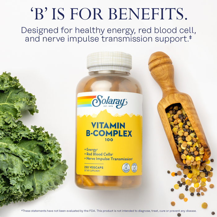 Solaray Vitamin B-Complex 100 Supports Healthy Hair & Skin, Immune System Function, Blood Cell Formation & Energy Metabolism , 250 VegCaps