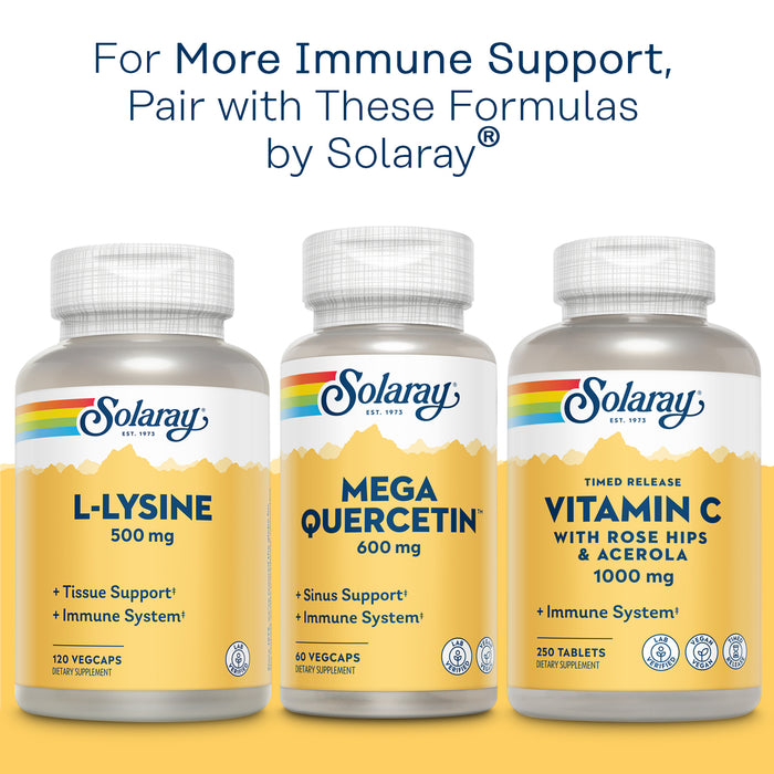 Solaray Bio Zinc 15 mg | Triple Zinc Complex for Healthy Immune System, Endocrine & Cell Function Support | 100 VegCaps