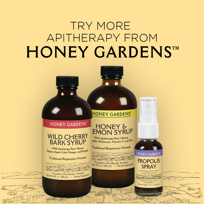 Honey Gardens Elderberry Syrup with Grade A Raw Honey, Propolis, Organic ACV & Elderberries | Traditional Immune Formula w/Echinacea  | Made in the USA