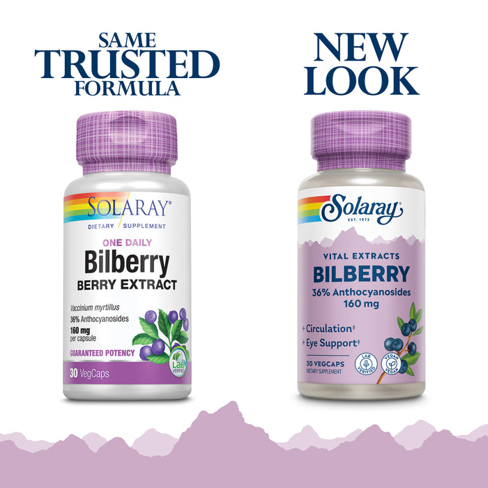 Solaray Bilberry Extract 160 mg, Eye Health & Circulation Support, 36% Anthocyanosides Plus Blueberry, Vegan, 30 VegCaps