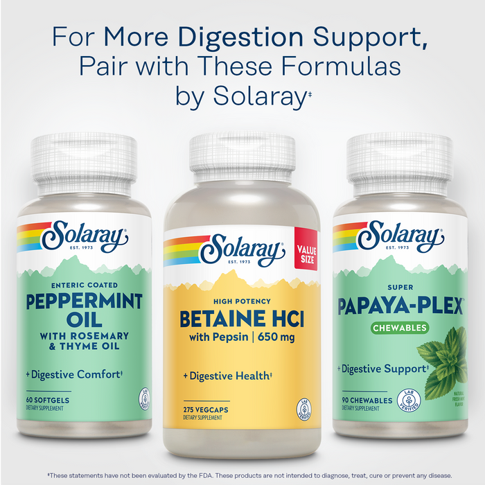 Solaray High Potency Betaine HCL with Pepsin - Hydrochloric Acid Supplement for Digestive Health - with Betaine Hydrochloride and Digestive Enzymes - Gut Health Support - 60-Day Guarantee, 275 VegCaps (275 Servings, 275 Veg Caps)