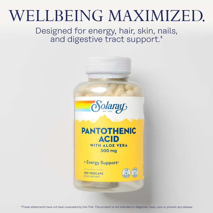 Solaray Pantothenic Acid 500mg - Vitamin B 5 - B Vitamin for Coenzyme-A Production, Energy Metabolism, Digestive Health, Hair Health, Skin and Nails Support - Vegan, 60-Day Guarantee - 250 VegCaps