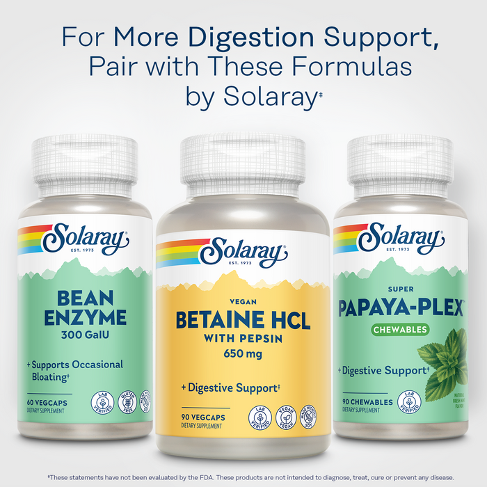 Solaray Vegan Betaine HCL with Pepsin - Hydrochloric Acid Supplement for Digestive Health - with Betaine Hydrochloride and Digestive Enzymes - Gut Health Support - 60-Day Guarantee, 90 VegCaps