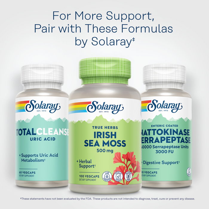 SOLARAY Irish Sea Moss 500 mg - Naturally Occurring Vitamins, Minerals, and Fiber - Herbal Support for Gut Health and More - Vegan, Gluten Free, Lab Verified - 60 Day Guarantee - 100 Servings, 100 VegCaps