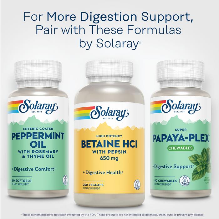 Solaray High Potency Betaine HCL with Pepsin - Hydrochloric Acid Supplement for Digestive Health - with Betaine Hydrochloride and Digestive Enzymes - Gut Health Support - 60-Day Guarantee, 275 VegCaps (250 Servings, 250 Veg Caps)