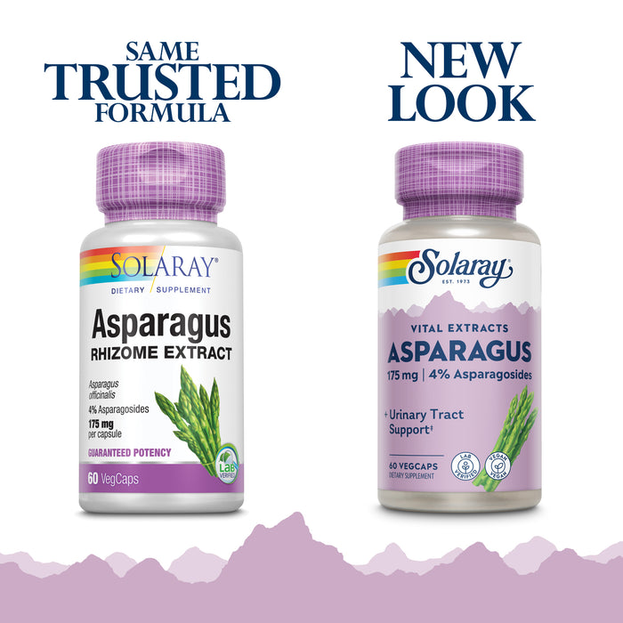 Solaray Asparagus Rhizome Extract 175 mg w/ Whole Root | Healthy Urinary Tract & Digestive Health Support | 60 VegCaps