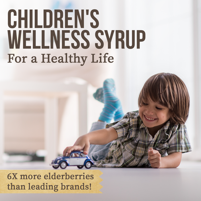 Honey Gardens Elderberry Syrup for Kids with Honey, Kids Elderberry Syrup, 6.4 mg of Elderberry Honey Syrup with Organic Raw Honey, Organic Echinacea Purpurea and Elderflower, 24 Servings, 4 FL. OZ.