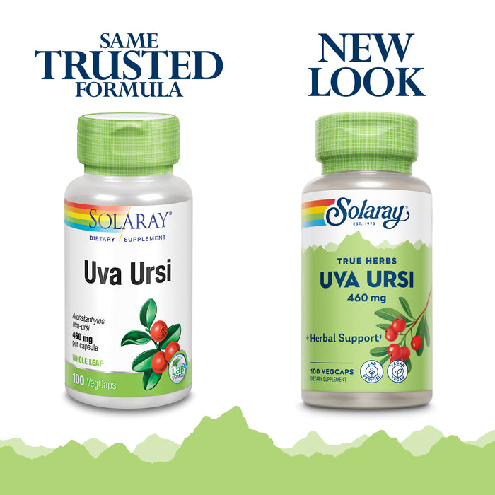 Solaray Uva Ursi Leaf 460 mg | Healthy Bladder, Kidney & Urinary Tract Function Support | Non-GMO | 100ct (Take 3 Daily)