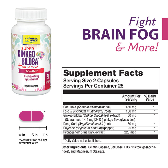 Natural Balance Super Ginkgo Biloba Plus | Brain & Circulation Formula to Help Support Focus, Memory & Blood Flow | With Gotu Kola | 50ct, 25 Serv.