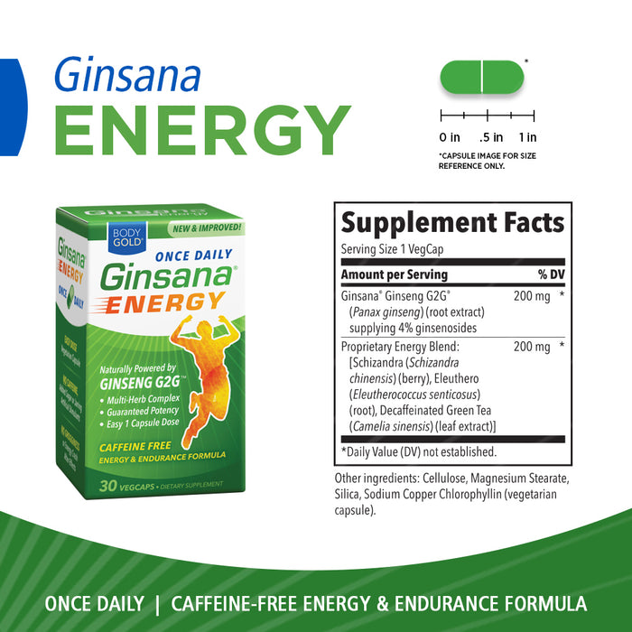 BodyGold Ginsana Energy, Once Daily | Panax Ginseng Extract w/ Energizing Herbal Blend for Focus & Endurance | No Caffeine