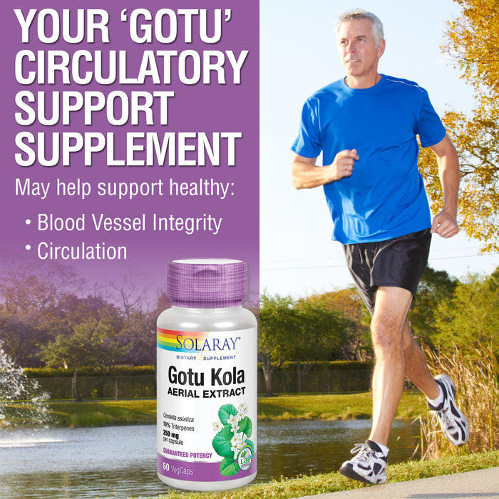 Solaray Gotu Kola Aerial Extract 250 mg | Healthy Blood Vessel, Circulation, Mental Clarity & Mood Support | 60 VegCaps