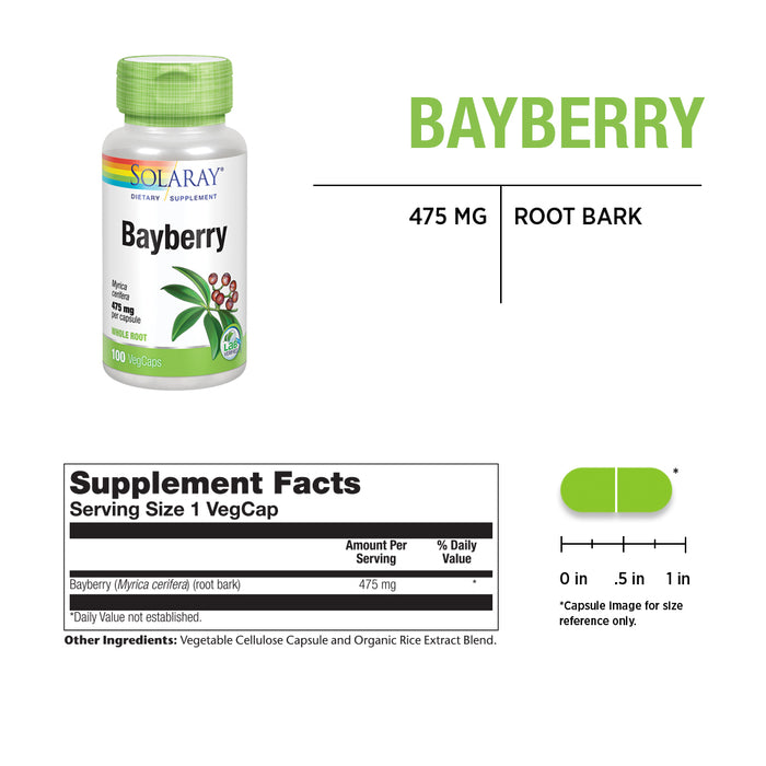 Solaray Bayberry 475 mg | Healthy Immune System and Digestion Support | Whole Root in Organic Rice Extract Blend | Non-GMO & Vegan | 100 VegCaps