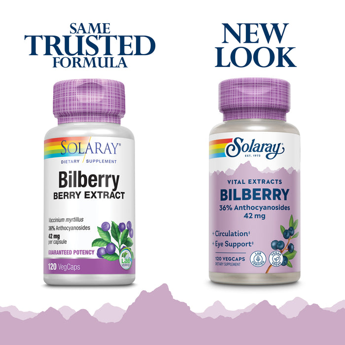 Solaray Bilberry Berry Extract 42 mg, Eye Health & Circulation Support, With 36% Anthocyanosides, Vegan, 120 VegCaps