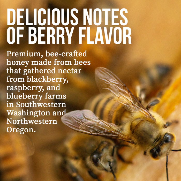 Honey Gardens Berry Blossom Raw Honey, Premium Bee-Crafted Honey from Nectar of Blackberry, Raspberry, and Blueberry Farms, Medium Color, Discernable Notes of Berry Flavor, 12 Servings, 9 OZ.