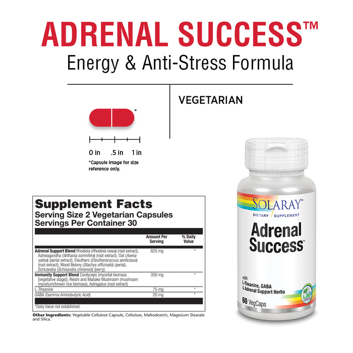 Solaray Adrenal Success | Herbal Adaptogens Plus GABA & L-Theanine for Healthy Stress Support | 30 Servings | 60 VegCaps