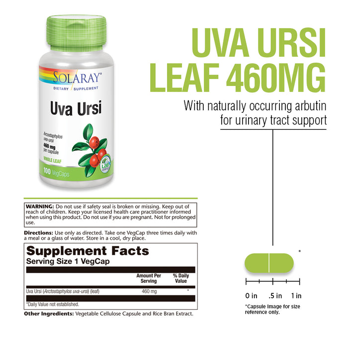 Solaray Uva Ursi Leaf 460 mg | Healthy Bladder, Kidney & Urinary Tract Function Support | Non-GMO | 100ct (Take 3 Daily)