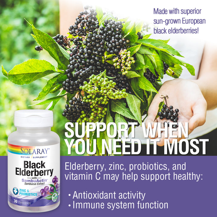 Solaray Black Elderberry Extract with Zinc, Probiotics & Vitamin C | Healthy Immune System Support | 30 Chewable Tablets