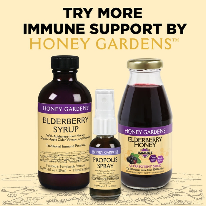 Honey Gardens Elderberry Syrup with Grade A Raw Honey, Propolis, Organic ACV & Elderberries | Traditional Immune Formula w/Echinacea  | Made in the USA |  5 Packets