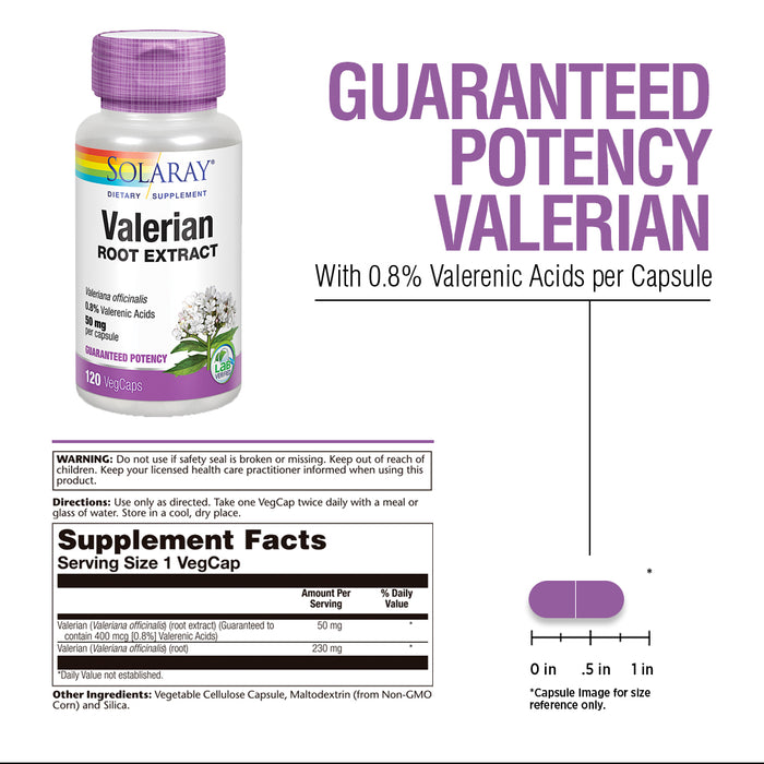 Solaray Valerian Root Extract 50 mg | Relaxation Support for a Healthy Sleep Cycle | 0.8% Valerenic Acids (120 CT)